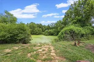 2362 Rock N Horse Farms Dr, Festus, MO 63028 - Photo 72