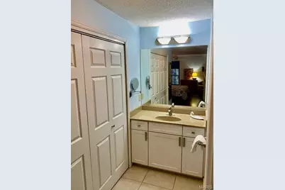 572 Coeur De Royale Drive #301, Creve Coeur, MO 63141 - Photo 30