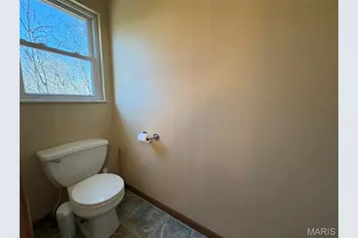 719 White Dogwood Court, Saint Clair, MO 63077 - Photo 20