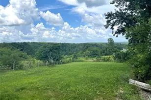 15639 State Hwy 185, Potosi, MO 63664 - Photo 8