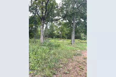 15639 State Highway 185, Potosi, MO 63664 - Photo 4