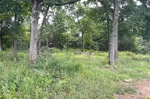 15639 State Hwy 185, Potosi, MO 63664 - Photo 4