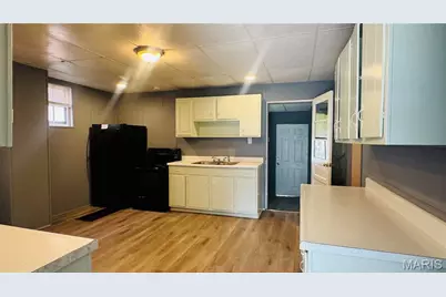 4249 Delor Street, Saint Louis, MO 63116 - Photo 12