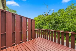 13322 Hiddendale Ln, Ballwin, MO 63021 - Photo 14