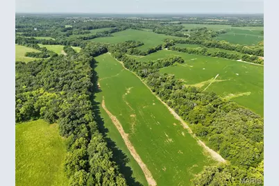 0 Walnut Hill Ln. (36.31+/- Acres), Elsberry, MO 63343 - Photo 12