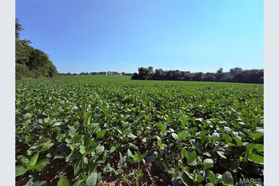 0 Walnut Hill Ln. (36.31+/- Acres), Elsberry, MO 63343 - Photo 4