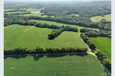 0 Walnut Hill Ln. (36.31+/- Acres), Elsberry, MO 63343 - Photo 10
