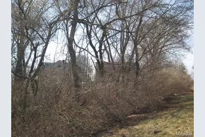 10066 Big Bend Road, Crestwood, MO 63122 - Photo 6