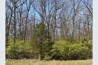 0 Elm Avenue, Foristell, MO 63348 - Photo 10