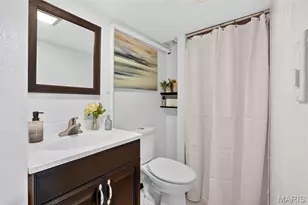4074 Alma Ave, Saint Louis, MO 63116 - Photo 50