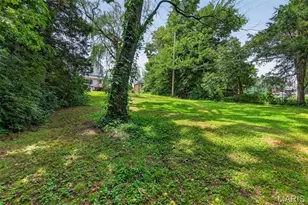 1318 Graham St, Saint Louis, MO 63139 - Photo 38