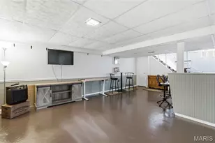 3838 Rainor Ct, Saint Louis, MO 63116 - Photo 30