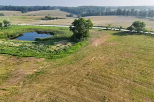 680 Tickridge Rd, Silex, MO 63377 - Photo 1