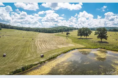 10555 Pashia Road, Potosi, MO 63664 - Photo 42