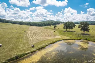 10555 Pashia Rd, Potosi, MO 63664 - Photo 42