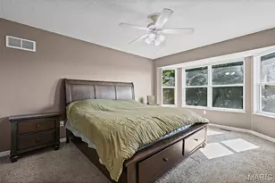 1914 McKinley Range, Festus, MO 63028 - Photo 30