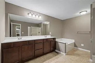 152 Carlton Point Dr, Wentzville, MO 63385 - Photo 24