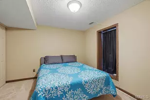 460 Kaylene Dr, Wentzville, MO 63385 - Photo 16