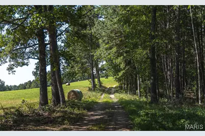 25598 County Road C-228, Norwood Court, MO 65717 - Photo 94