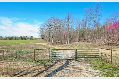25598 County Road C-228, Norwood Court, MO 65717 - Photo 96