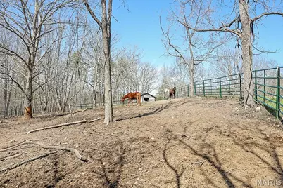 25598 Co Road C-228, Norwood Court, MO 65717 - Photo 40