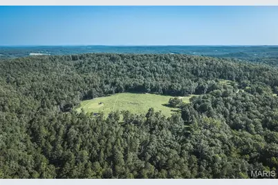 25598 Co Road C-228, Norwood Court, MO 65717 - Photo 2