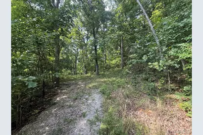 E Swaller Road, Imperial, MO 63052 - Photo 2