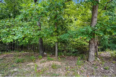 1524 Shalimar Ridge Lane, High Ridge, MO 63049 - Photo 2