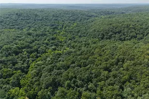 41 Acres Whittaker Rd, French Village, MO 63036 - Photo 4