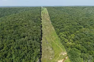 41 Acres Whittaker Rd, French Village, MO 63036 - Photo 12
