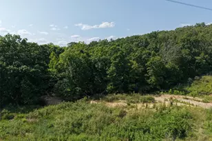 41 Acres Whittaker Rd, French Village, MO 63036 - Photo 18