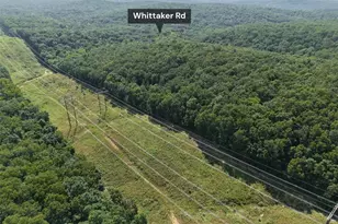 41 Acres Whittaker Rd, French Village, MO 63036 - Photo 24