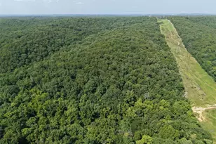 41 Acres Whittaker Rd, French Village, MO 63036 - Photo 16