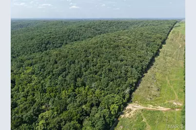 41 Acres Whittaker Road, French Village, MO 63036 - Photo 14