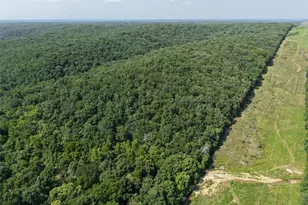 41 Acres Whittaker Rd, French Village, MO 63036 - Photo 14