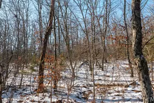 2101 Vly Crk Dr, Robertsville, MO 65066 - Photo 60