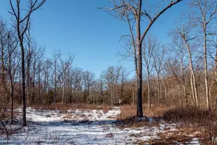 2101 Vly Crk Dr, Robertsville, MO 65066 - Photo 56