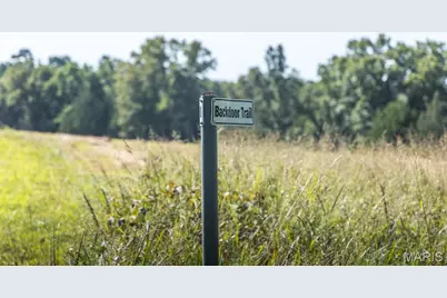 Tract 6 Private Drive 2336, Norwood Court, MO 65717 - Photo 1