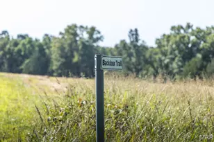 Tract 6 Private Dr 2336, Norwood Court, MO 65717 - Photo 1