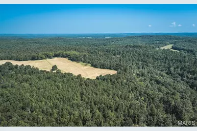 Tract 7 Private Drive 2336, Norwood Court, MO 65717 - Photo 10