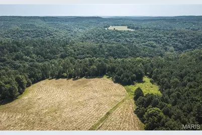 Tract 7 Private Drive 2336, Norwood Court, MO 65717 - Photo 8
