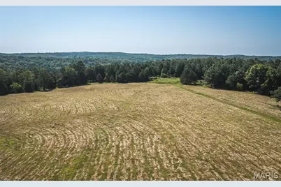 Tract 7 Private Drive 2336, Norwood Court, MO 65717 - Photo 6