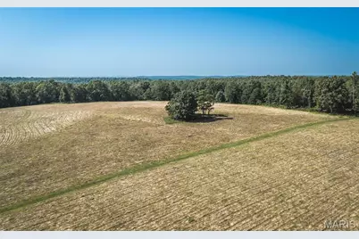 Tract 7 Private Drive 2336, Norwood Court, MO 65717 - Photo 14