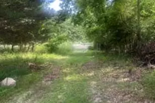 12 56 Acres US Survey 2991, Arnold, MO 63010 - Photo 1