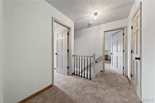2917 Spring Blossom Dr, O'Fallon, MO 63368 - Photo 46