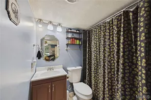 1031 Palmer Ln, Imperial, MO 63052 - Photo 10