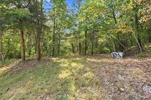 3001 Rustic Wood Trail, Barnhart, MO 63012 - Photo 32