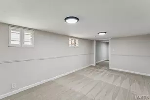 3851 Neosho, Saint Louis, MO 63116 - Photo 20