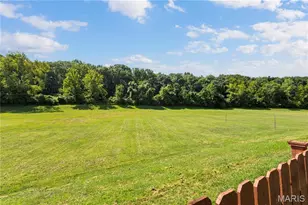 638 Oak Springs Trail Dr, Ballwin, MO 63021 - Photo 28