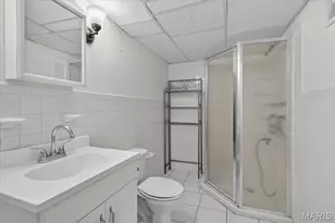 4746 Seibert Ave, Saint Louis, MO 63123 - Photo 30